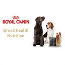 ROYAL CANIN BREED epets