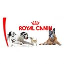 ROYAL CANIN SIZE epets
