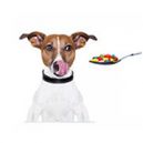 Συμπληρώματα - Προϊόντα βελτίωσης για σκύλους epets