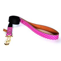 argus collar - the "pinky dot" leash