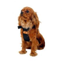 σαμαράκι σκύλων για ζώνη ασφαλείας αυτοκινήτου petshop