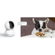 TP-Link Tapo camera and dog