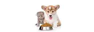 Οδηγίες συντήρησης ξηράς τροφής σκύλων και γατών