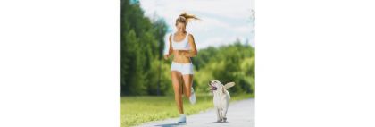 Πώς ο σκύλος ή η γάτα σου βελτιώνει την ευεξία σου