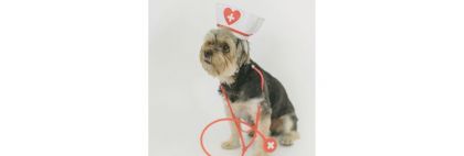 Υγεία & Προληπτική Φροντίδα για Σκύλους και Γάτες: Οδηγός για Υπεύθυνους Ιδιοκτήτες