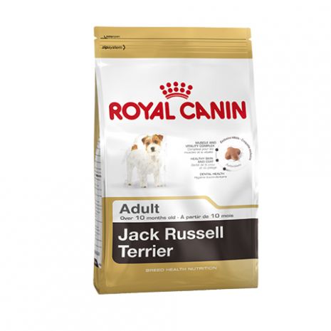 royal canin jack russell adult 1.5kg