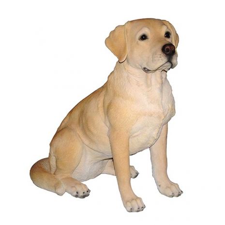 Άγαλμα Σκύλου Labrador Golden Sitting