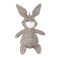 happy pet fellows flopsy