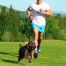 lishinu-dog-leash-running