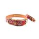 argus the bandana classic collar