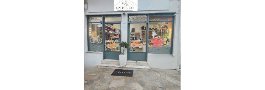 Η τέχνη ζωντανεύει στις βιτρίνες του epets&co